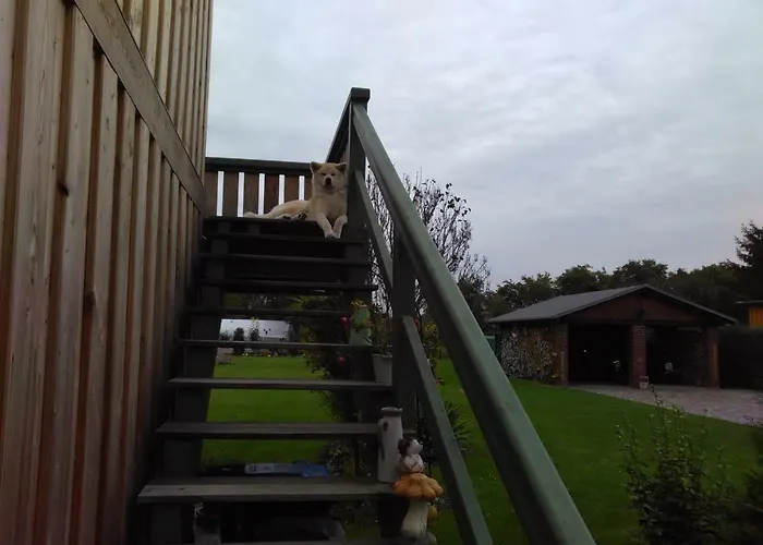 Сasa de vacaciones Stadio